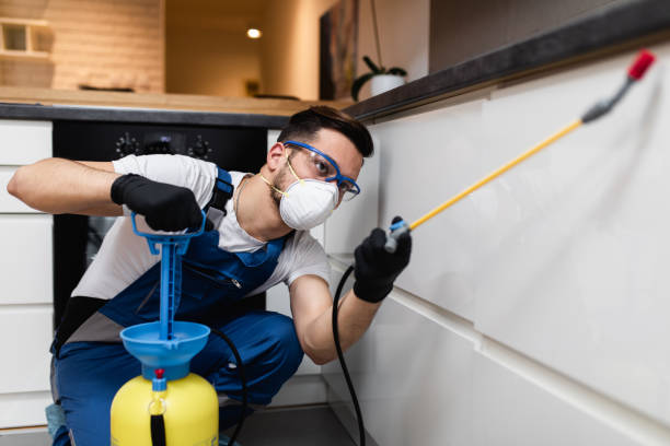 Best Termite Control Services  in Elk Plain, WA