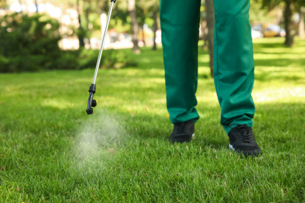 Best Flea Control Services  in Elk Plain, WA