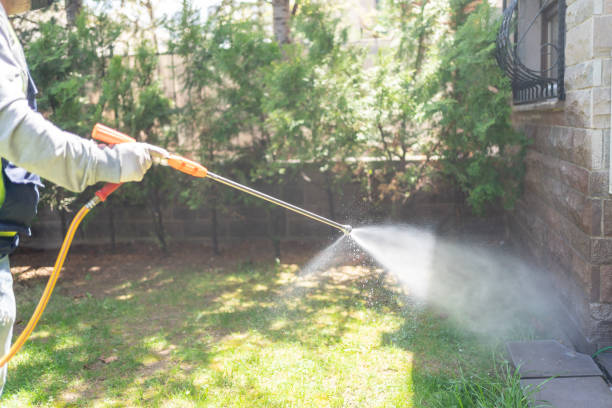 Best Spider Control Near Me  in Elk Plain, WA