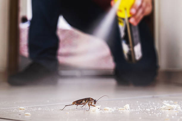 Best Commercial Pest Control Services  in Elk Plain, WA